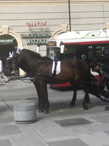 horse carriage 2